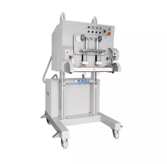 Máy đóng gói hút chân không và thổi khí dạng đứng DZQ-600LD