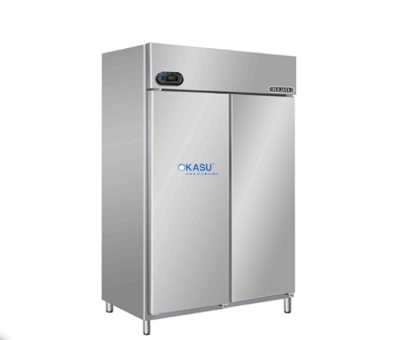 Tủ đông 2 cánh Berjaya BS 2DUF/Z  