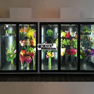 Tủ bảo quản hoa tươi mini 