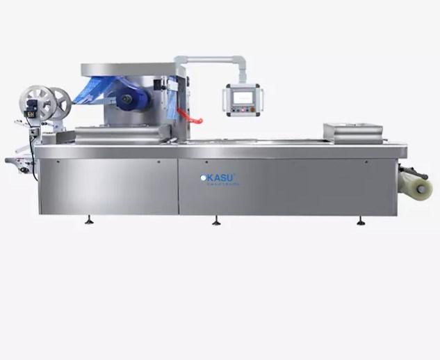 Máy đóng gói hút chân không định hình nhiệt tự động dùng cho thực phẩm HVR-420A - ảnh 1