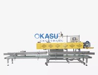 Máy đóng gói và hàn miệng túi liên tục tự động dành cho bao bì phức hợp giấy-nhựa loại tải trọng lớn (20-50kg) FBC-2D