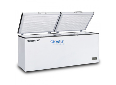 Tủ đông nằm Berjaya BJY-CFSD500A