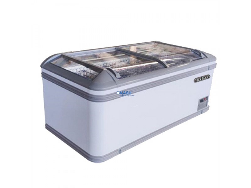 Tủ đông trưng bày cửa kính dạng lùa BJY-IFGD-600L