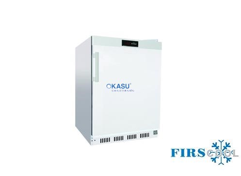 Tủ đông 1 cánh Firscool G-HT200F