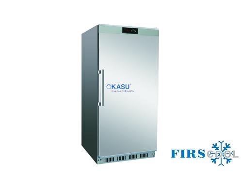 Tủ mát 1 cánh Firscool G-HT260 S/S