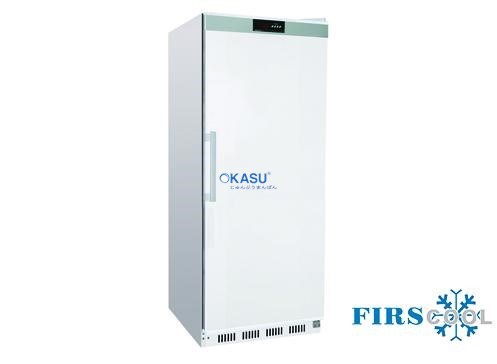 Tủ mát 1 cánh Firscool G-HT300