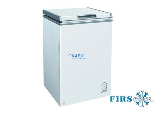 Tủ đông Firscool G-F100