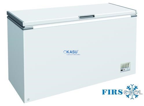 Tủ đông nằm Firscool G-F300