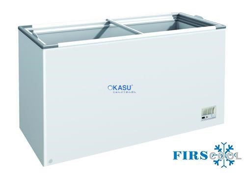 Tủ đông nằm nắp kính phẳng Firscool G-F300 FG