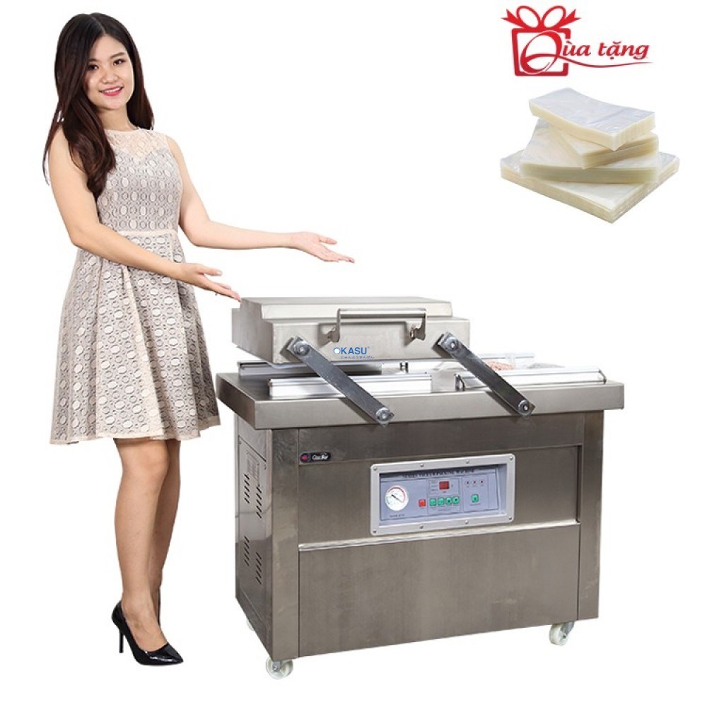 Máy hút chân không công nghiệp GoodFor DZQ500X2