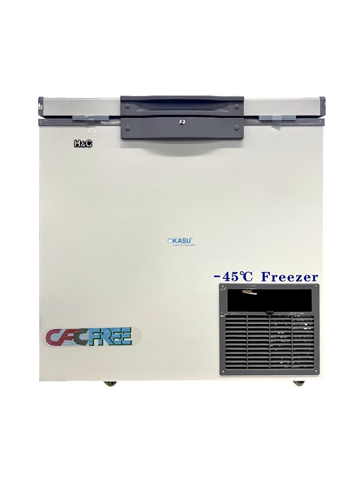 Tủ Đông Sâu H&C CB45W158