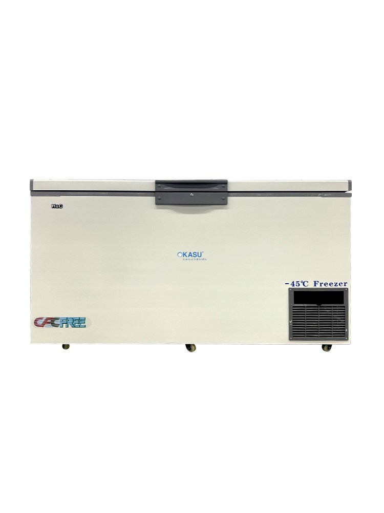 Tủ Đông Sâu H&C CB45W370
