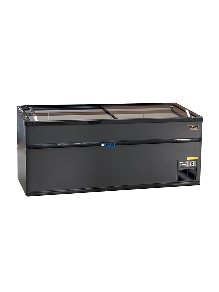 Tủ Đông Nằm H&C CBCQH-19D