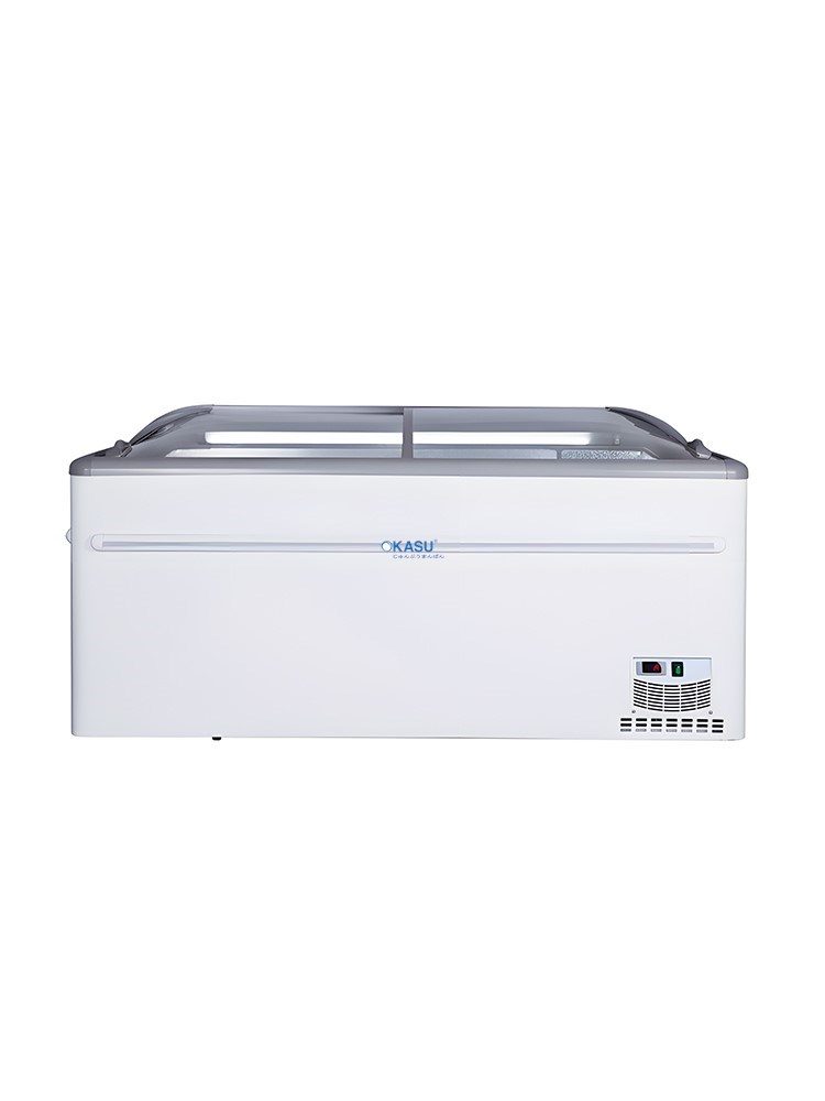 Tủ Đông Nằm H&C CBCQS-18D