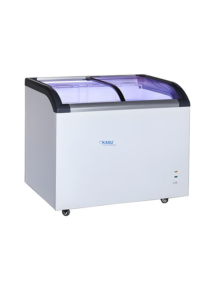 Tủ Đông Nằm H&C CBSD-320Q