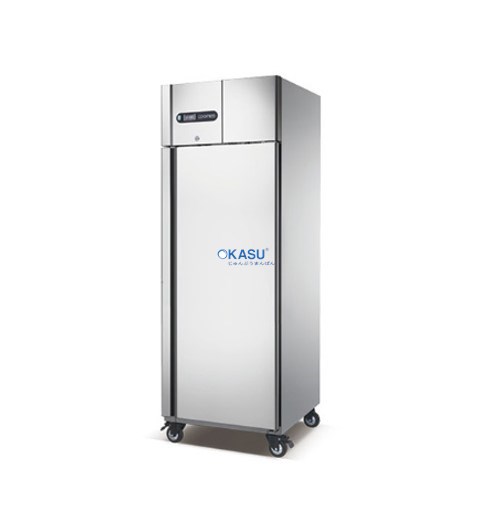 Tủ Mát Đứng 1 Cánh Coolmes GN550TN