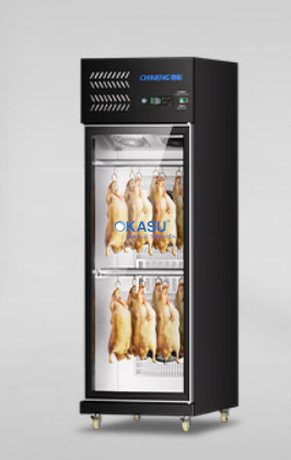 Tủ sấy vịt 1 cánh CHINENG CN-LPG-8003-DM-700FA