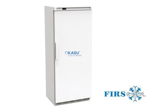 Tủ đông cánh đứng Firscool HC-HF25ES