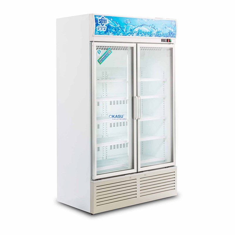 Tủ mát bằng không khí OKSAU SLG-1200F 