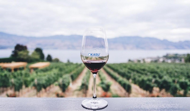 Tủ rượu TRANSTHERM ERMITAGE - ảnh 3