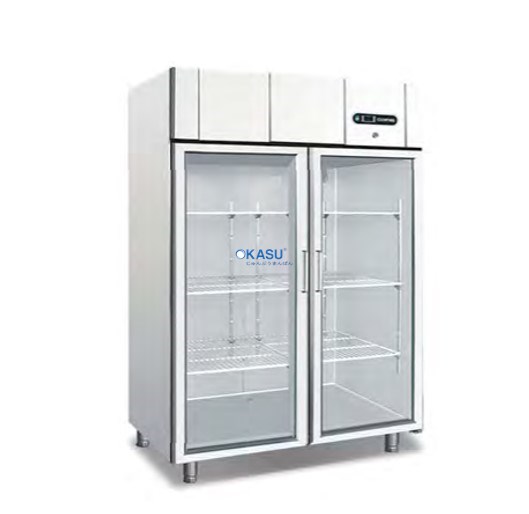 Tủ Đông Đứng 2 Cánh Kính Coolmes AF1.0G2 - ảnh 1