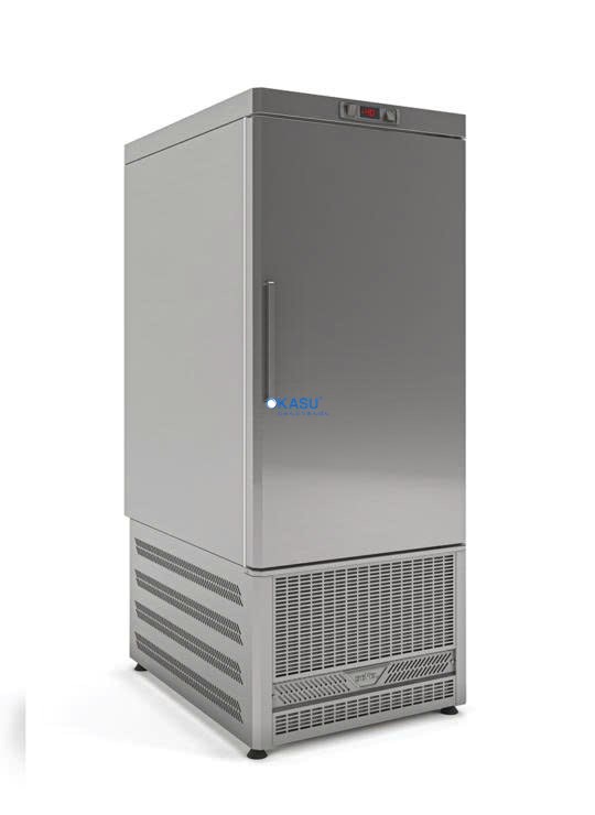 Tủ đông sâu POLE 40 - ảnh 1