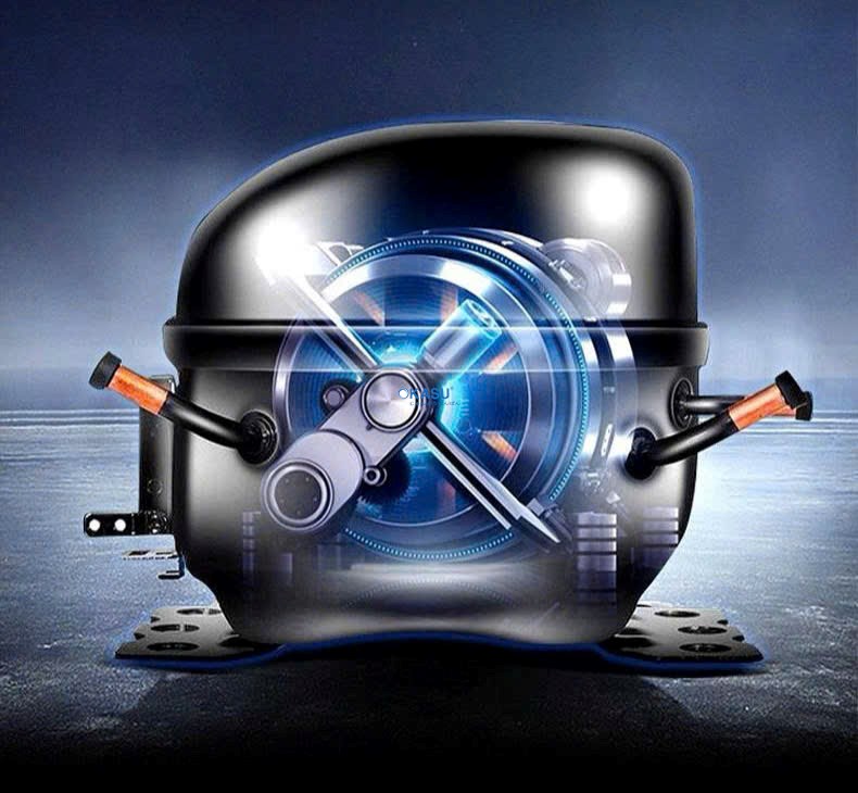 Tủ sấy vịt 1 cánh CHINENG CN-LPG-8003-DM-CTB - ảnh 5