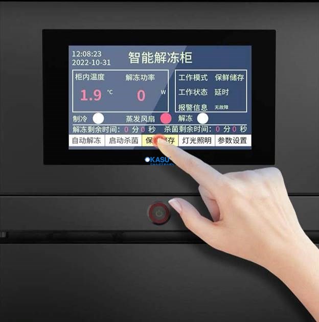 Tủ rã đông 2 cánh CHINENG  - ảnh 5