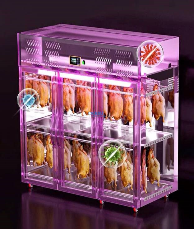 Tủ sấy vịt áp suất âm 3 cánh CHINENG CN-LPG-8003-ZZFY-1860FA (Phiên bản cao cấp) - ảnh 6